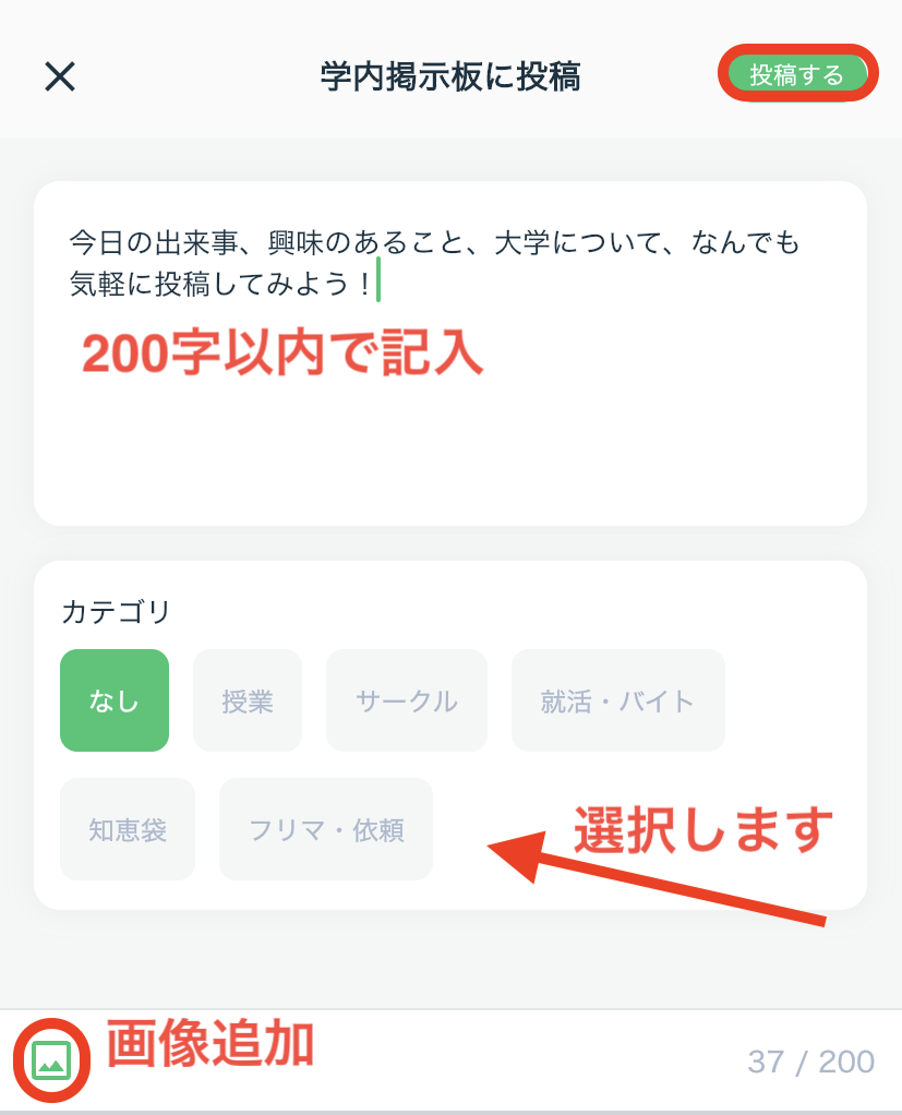 IMG_9946.PNG